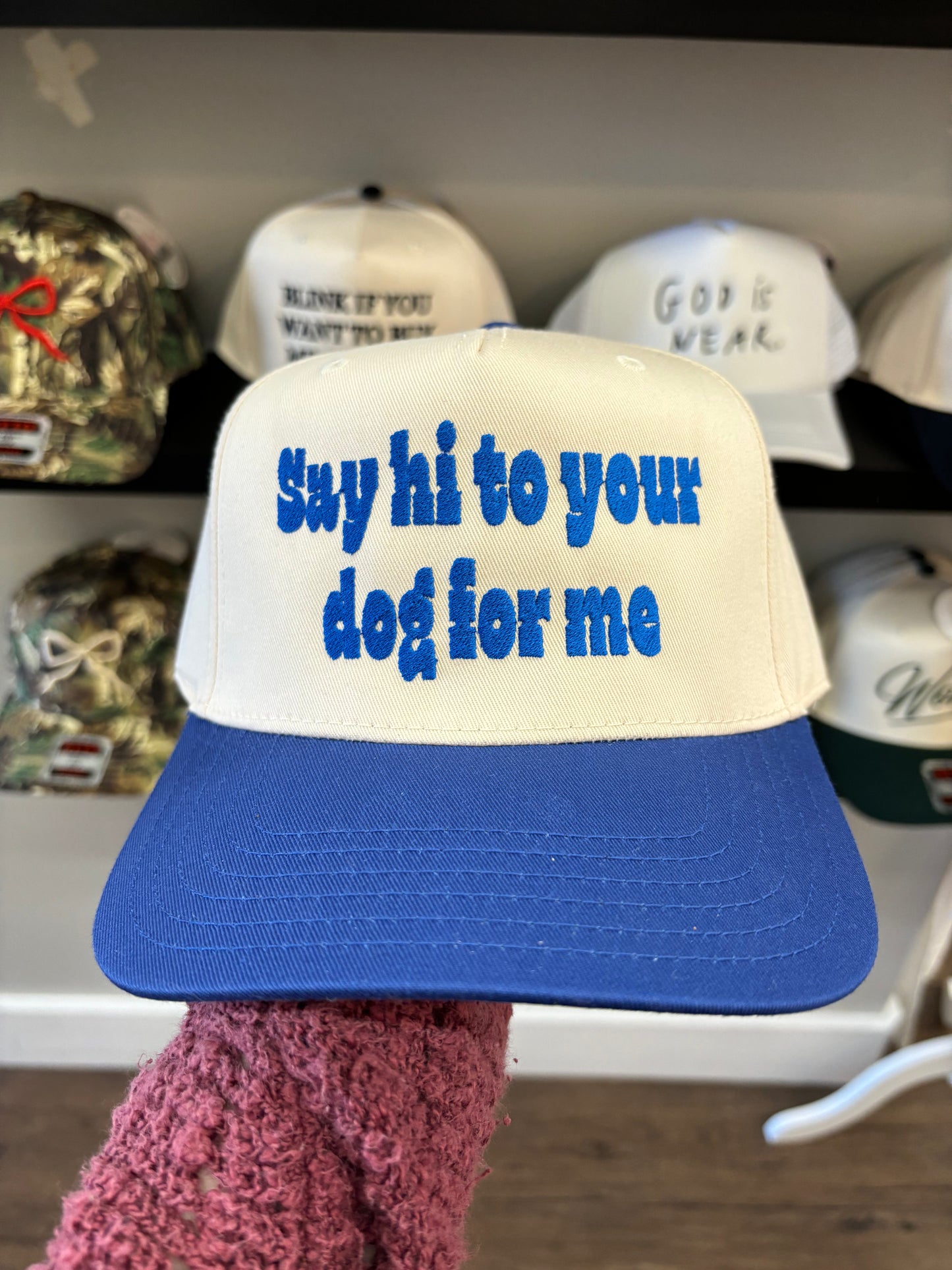 Say Hi To Your Dog Trucker Hat