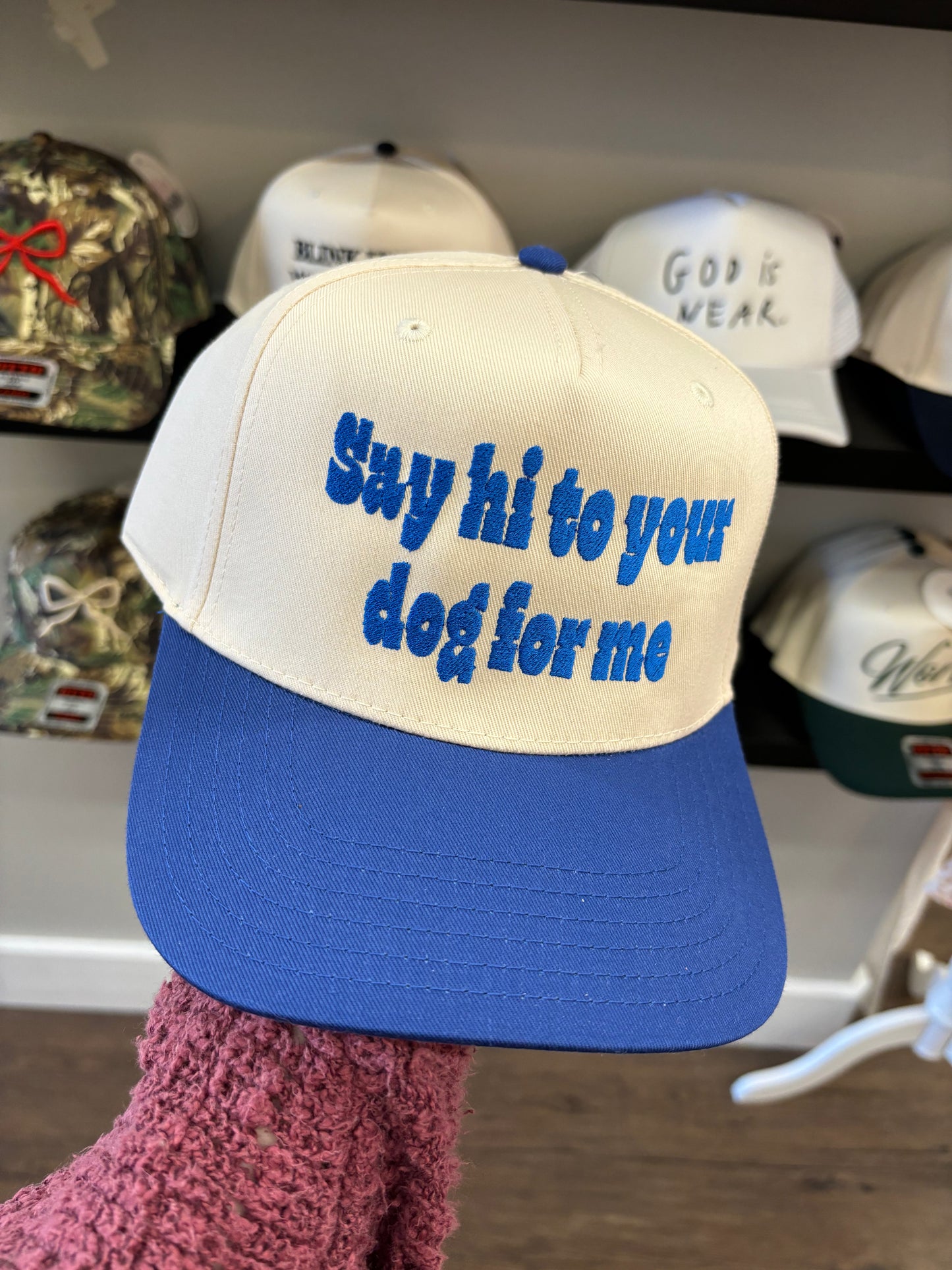 Say Hi To Your Dog Trucker Hat